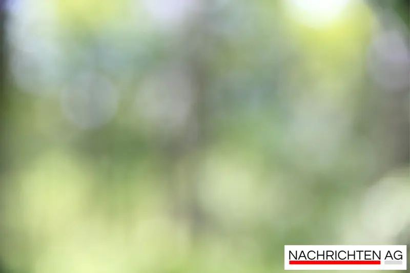 Wilde Entdeckungen im neuen Kita-Garten: Kinderforschen die Natur!