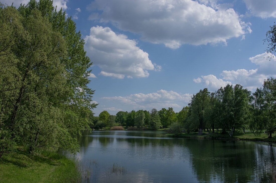 Erfahren Sie mehr über die verheerenden Brandstiftungen im Britzer Garten, die erhebliche Schäden verursacht haben, darunter den Verlust des Umweltbildungszentrums. Bezirksbürgermeister Martin Hikel äußert sich besorgt über die Auswirkungen auf Kinder und Jugendliche im Bezirk und kündigt Unterstützung für die betroffenen Einrichtungen an.