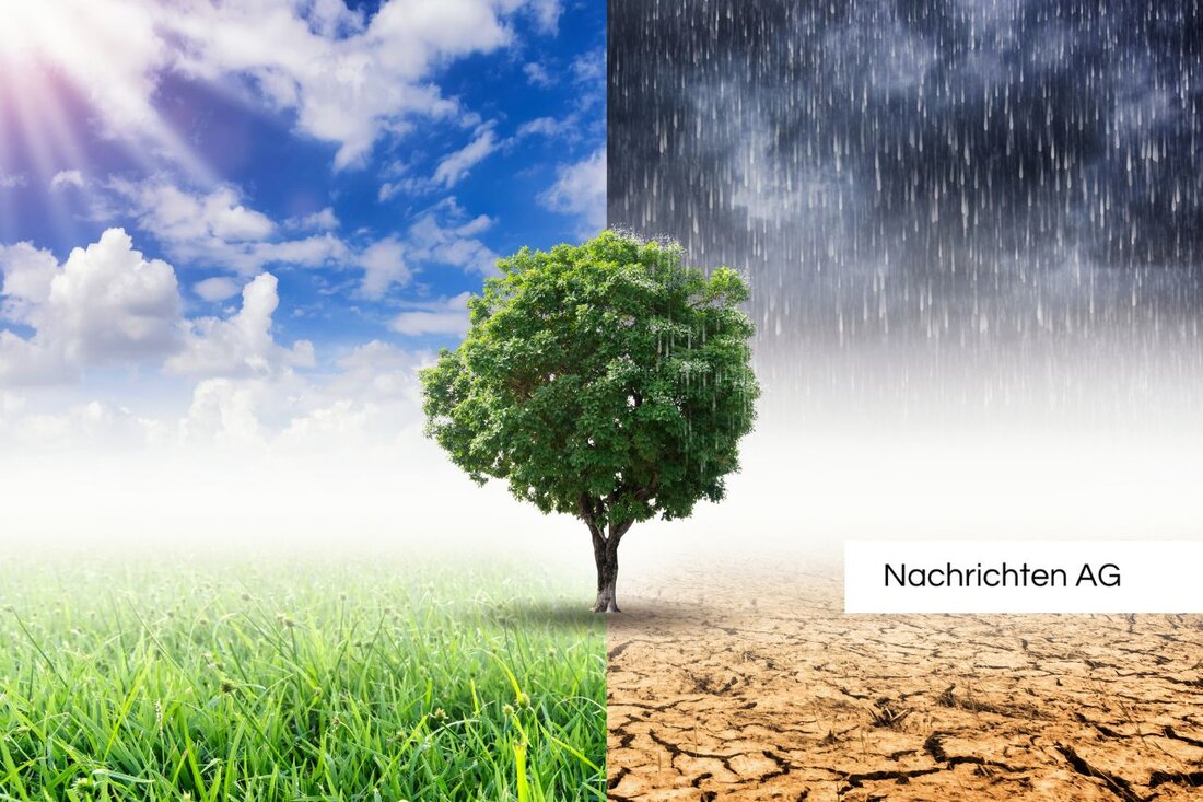 Der Klimarat Marzahn-Hellersdorf fördert klimafreundliche Projekte seit 2022 durch interdisziplinäre Zusammenarbeit und Bürgerengagement.