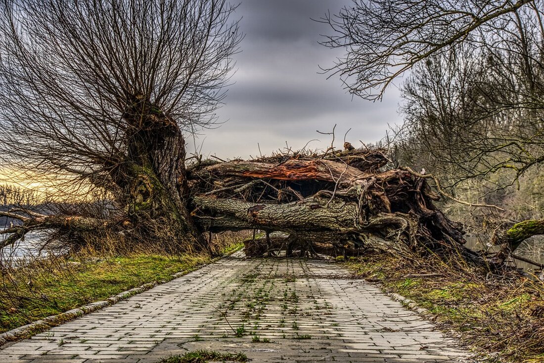 Beschädigung einer Gashochdruckleitung führt zu Sperrung auf der Wendenschloßstraße Am Montagmorgen kam es in Treptow-Köpenick zu einer Sperrung auf der Wendenschloßstraße aufgrund der Beschädigung einer Gashochdruckleitung. Die Berliner Feuerwehr bestätigte dies dem Tagesspiegel. Die Sperrung erstreckte sich von der Dregerhoffstraße bis zur Pritstabelstraße. Zusätzlich wurde der Verkehr der Tramlinie 62 zwischen dem Betriebshof Köpenick und der Wendenschloßstraße eingestellt. Ursache für die Beschädigung war ein Baufahrzeug. Nach etwa zwei Stunden konnte die Feuerwehr Entwarnung geben und das Gasleck beseitigen. Des Weiteren wurde die Sperrung aufgehoben, sodass keine weiteren Verzögerungen zu erwarten sind. Die genannten Zusatzinformationen beziehen sich auf andere Themen und …