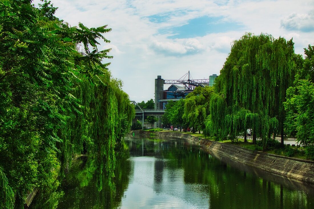 Fischsterben im Landwehrkanal – Ursachen und Auswirkungen In den letzten Tagen haben sich traurige Szenen im Berliner Landwehrkanal abgespielt. Eine große Anzahl von Fischen und Ratten ist dort gestorben. Besonders erschreckend ist, dass mehr Fische erstickt sind als in den letzten fünf Jahren zusammen. Aber was hat zu diesem massiven Fischsterben geführt? Die Ursachen für das Fischsterben sind vielfältig. Zunächst einmal war das Wasser im Landwehrkanal aufgrund des schönen Wetters bereits ziemlich warm. Warmes Wasser kann weniger Sauerstoff speichern, was für die Fische lebensgefährlich werden kann. Darüber hinaus wurden durch drei aufeinanderfolgende Gewitter innerhalb kürzester Zeit Biomasse und Keime von …