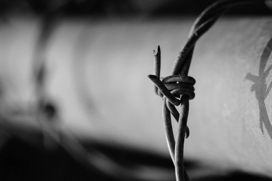 In Bayern wurden Opfer von Telefonbetrug durch falsche Polizisten betrogen, doch die Ermittler in Berlin haben ein mutmaßliches Mitglied dieser Bande festgenommen. Der 38-jährige Verdächtige befindet sich seit Dienstag in Untersuchungshaft. Er wird beschuldigt, an einer Geldübergabe Mitte Juli in Landshut beteiligt gewesen zu sein, die im Zusammenhang mit einem Schockanruf stand. Bei einer Durchsuchung seiner Wohnung in Berlin fanden die Ermittler neun Krügerrand-Goldmünzen im Wert von etwa 13.000 Euro, die möglicherweise bei den Telefonbetrügereien erbeutet wurden. Der festgenommene 38-Jährige soll innerhalb der Bande für die Koordination der Abholer verantwortlich gewesen sein. Diese Abholer sind dafür zuständig, die Beute zu …