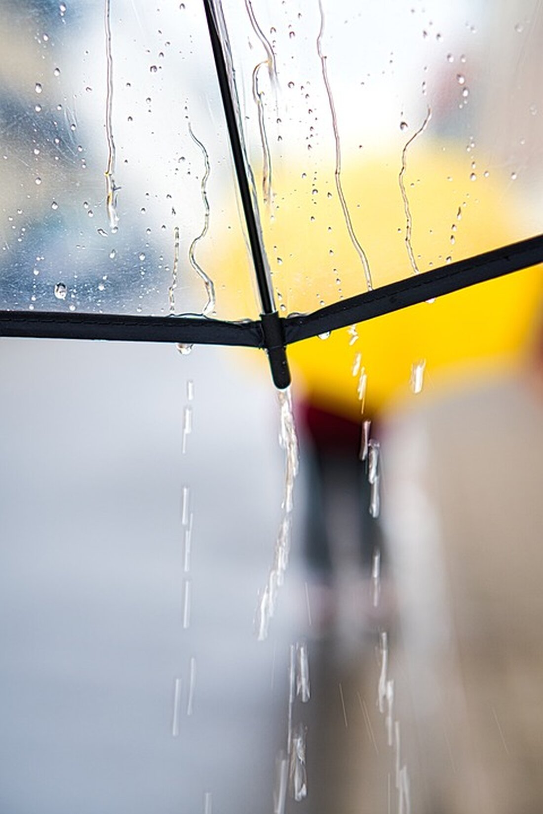Das Wetter in Berlin und Brandenburg in den nächsten Tagen wird von Gewittern und Starkregen begleitet sein. Laut dem Deutschen Wetterdienst (DWD) wird der Freitag gebietsweise mit Regen beginnen, im Laufe des Tages wechseln sich Quellwolken mit kurzen sonnigen Abschnitten ab. Dabei sind Schauer und örtliche Gewitter zu erwarten, die lokal begrenzt mit Starkregen, Windböen und kleinkörnigem Hagel einhergehen können. Die Höchsttemperaturen bewegen sich zwischen 23 und 26 Grad. In der Nacht bleibt es wolkig und es kann vereinzelt regnen. Die Temperaturen sinken auf Werte zwischen 15 und 17 Grad. Auch am Samstag und Sonntag sind Gewitter, Starkregen und Sturmböen …