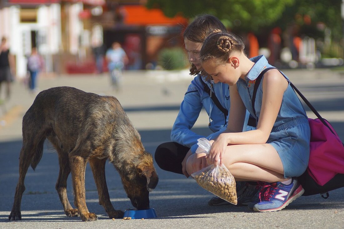 Nehmen Sie teil an der monatlichen Suppenaktion am 26. Oktober 2024, ab 12:00 Uhr auf dem Helene-Weigel-Platz! Genießen Sie leckere Suppe aus der Feldküche und helfen Sie, Lebensmittelpakete zu verteilen. Ihre Unterstützung zählt – sei es durch Spenden oder aktive Mithilfe vor Ort.