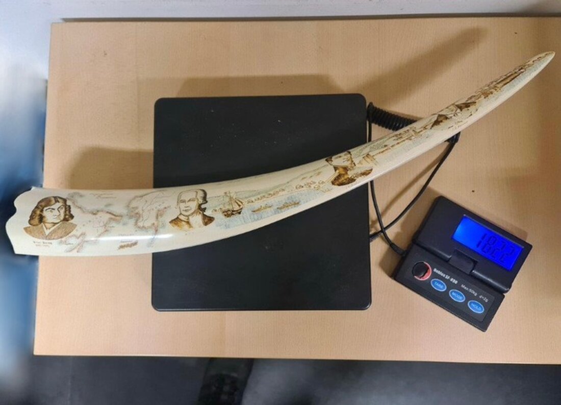 "Entdecken Sie die Geschichte hinter der Beschlagnahmung eines 60 cm langen Walrossstoßzahns am Flughafen Berlin Brandenburg. Erfahren Sie, wie Zöllner eine Reisende aus Georgien stoppten und welche rechtlichen Konsequenzen ihr drohen. Ein spannender Artikel über Artenschutz und Zollkontrollen."