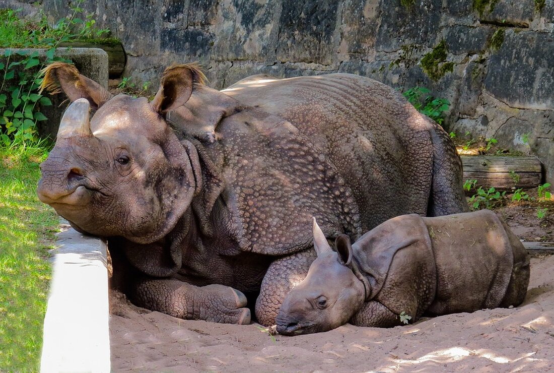 "Der Kinder-Lebens-Lauf ist eine bundesweit stattfindende Veranstaltung, bei der Unterstützer symbolisch von Kinderhospiz zu Kinderhospiz laufen, um auf die Bedürfnisse von Kindern mit lebensverkürzenden Erkrankungen aufmerksam zu machen. Erfahren Sie mehr über die wertvolle Arbeit der Kinderhospize und wie der Lauf Berührungsängste abbaut. Mit dem Motto "Nürnberger & Friends - Gemeinsam für die Kinderhospizarbeit" setzt die Nürnberger Versicherung ein Zeichen und engagiert sich gemeinsam mit prominenten Partnern. Erfahren Sie, wie Sie sich beteiligen können und unterstützen Sie die Aktion für den Bundesverband Kinderhospiz."