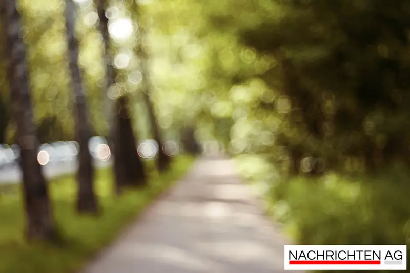 Lebensschicksal auf der Straße: Michael und die stille Bushaltestelle