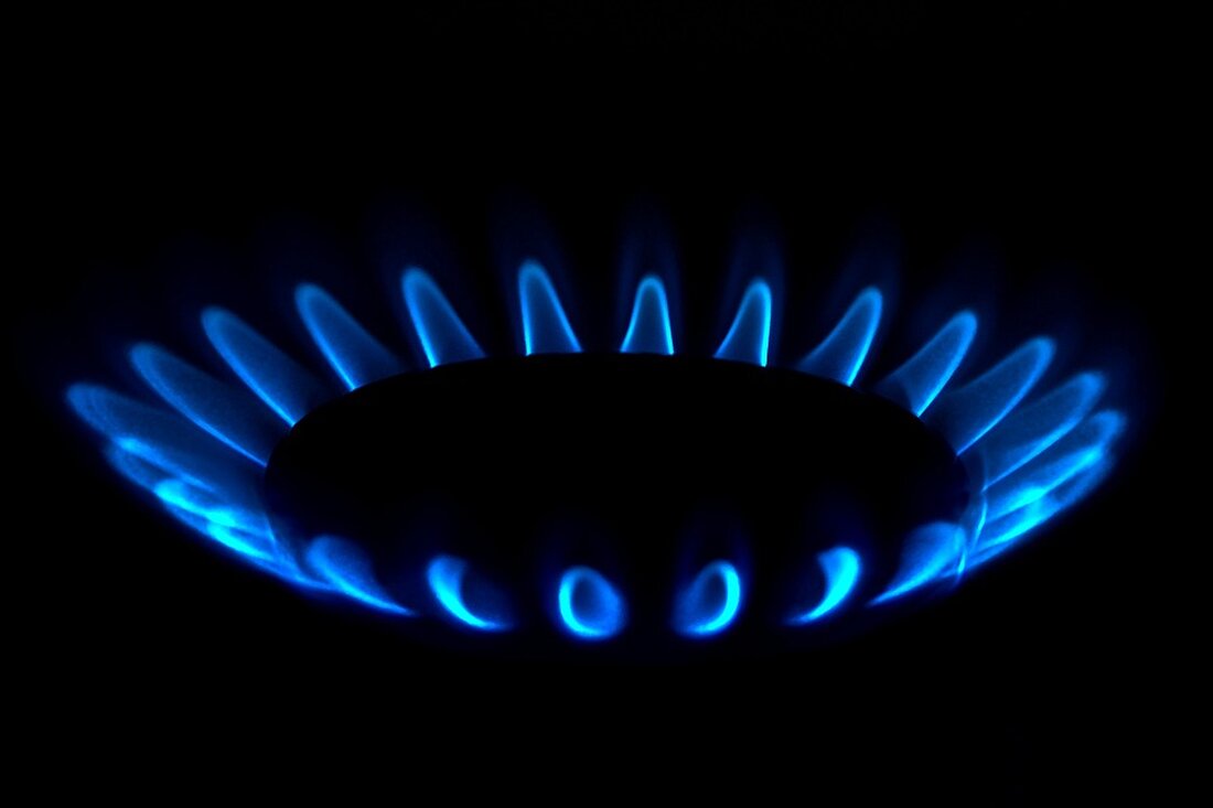 Der Artikel beschäftigt sich mit der "Wachstumsinitiative - neue wirtschaftliche Dynamik für Deutschland" und der Reaktion der energieintensiven Ernährungsindustrie auf die darin vorgeschlagenen Maßnahmen für einen leistungsfähigen Energiemarkt. Kritisiert wird jedoch die fehlende Folgeregelung für den weggefallenen Spitzenausgleich für Gas. Die Branche fordert zudem eine Ausweitung der Strompreiskompensation auf alle anspruchsberechtigten Sektoren. Weitere Themen sind die Anpassung der Netzentgelte und die Bedeutung einer stabilen und wettbewerbsfähigen Energieversorgung für den klimaschonenden Umbau des Wirtschaftsstandortes Deutschlands. Die Pressemeldung wird von verschiedenen Verbänden unterstützt.