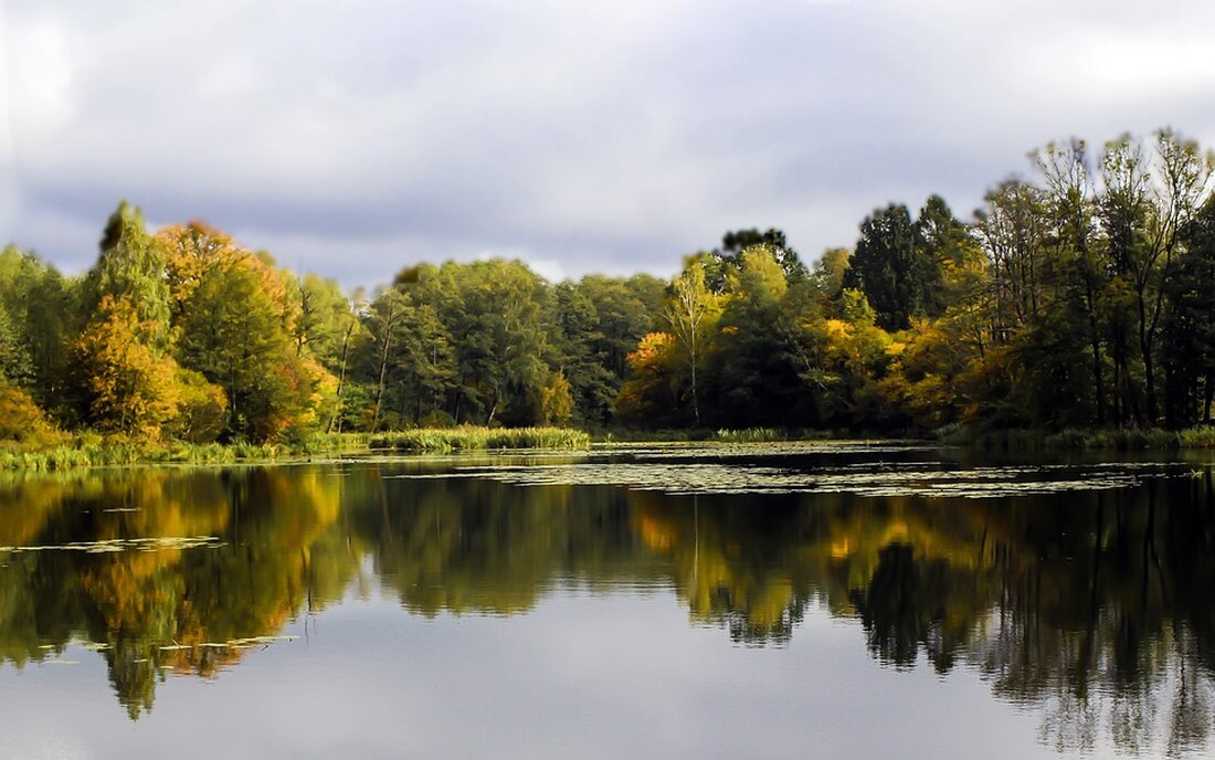 Meta-Beschreibung: Am Tag der pflegenden Angehörigen setzt sich der Bundesverband wir pflegen e.V. für eine gesamtgesellschaftliche Diskussion über ein würdiges Pflegesystem ein. Angesichts des Fachkräftemangels und der hohen Belastung von Angehörigen wird gefordert, die Pflege neu zu denken. Ziel ist es, pflegebedürftigen Menschen ein selbstbestimmtes Leben zu ermöglichen und die Unterstützung durch Netzwerke und Kooperationen zu fördern. Lesen Sie mehr über die wichtigen Veränderungen im Pflegesystem.