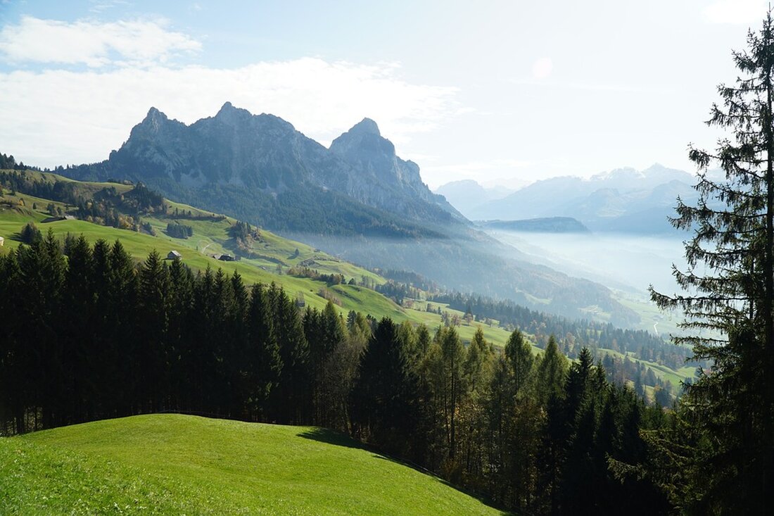 Entdecken Sie in unserem Artikel die häufigsten Irrtümer rund um das Thema Sehen. Von der Wirkung von Karotten auf die Augen bis hin zu Mythen über Kontaktlinsen – wir klären auf, was wirklich stimmt und was nicht. Erfahren Sie, wie Sie Ihr Sehvermögen optimal unterstützen können, und welche Gewohnheiten schädlich sein könnten. Informieren Sie sich jetzt, um gut informiert und gesund zu sehen!