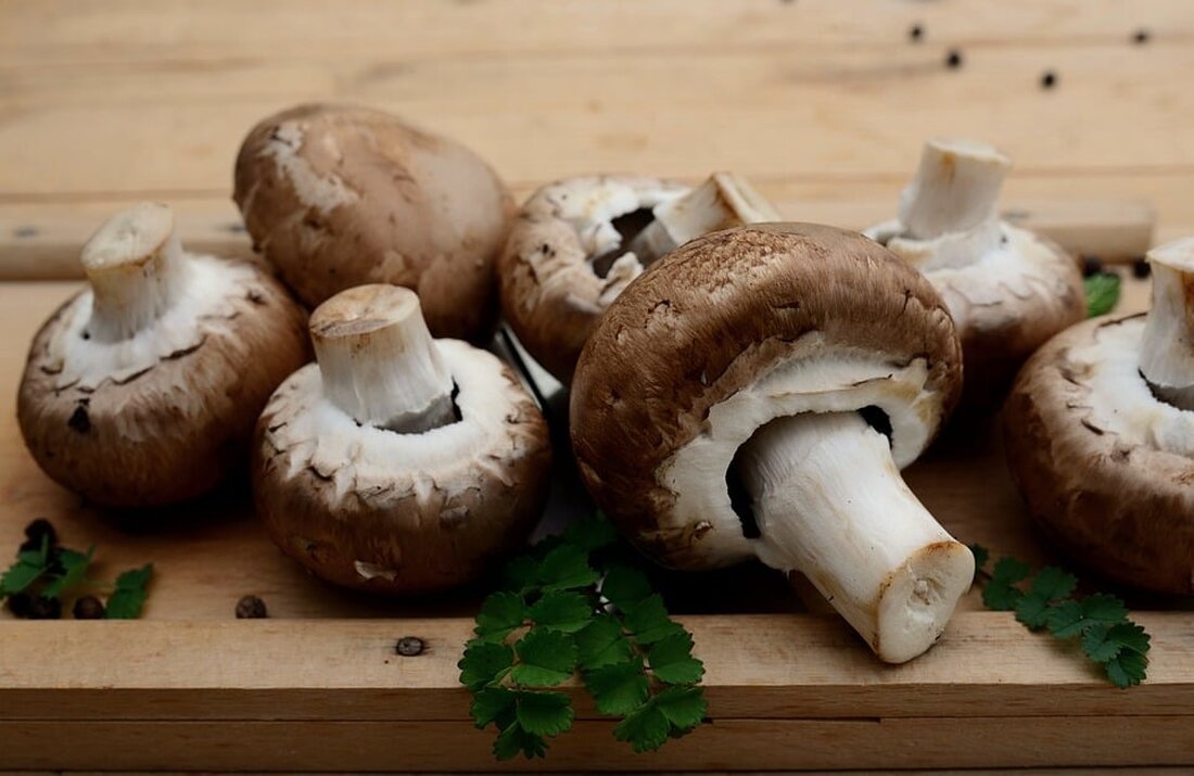 Entdecken Sie die faszinierende Welt der Pilze! In unserem Artikel erfahren Sie alles über die leckeren und lebenswichtigen Fungi, die in der Natur wachsen. Von Tipps zum sicheren Sammeln bis hin zu deren Bedeutung für das Ökosystem – lesen Sie, wie Sie Pilze richtig identifizieren und genießen können. Schützen Sie diesen wertvollen Natur-Schatz und erfahren Sie mehr über die essbaren Arten und ihre Lebensräume.