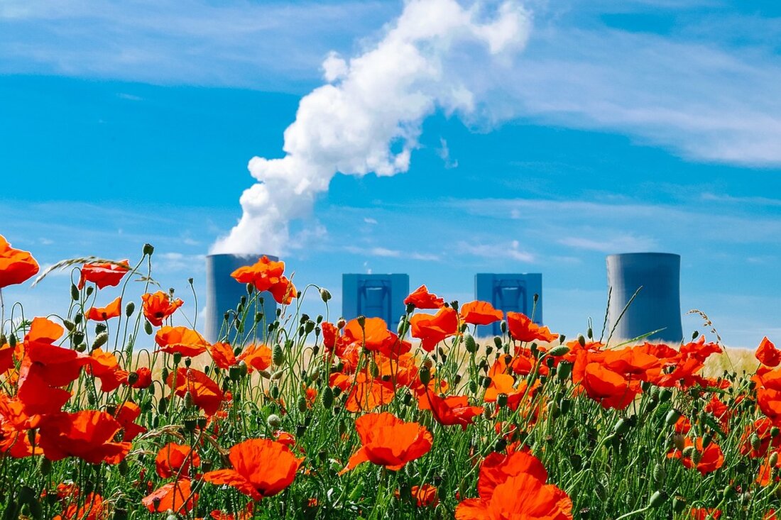 Das Deutsche Kfz-Gewerbe fordert dringende Unterstützung von der Politik, um die Automobilwirtschaft zu stabilisieren. Angesichts der geplanten CO2-Vorgaben der EU warnen führende Vertreter vor gravierenden Einbußen und einem Wettbewerbsnachteil für die Branche. Erfahren Sie mehr über die aktuellen Herausforderungen und die geforderten Maßnahmen zur Sicherung von Arbeitsplätzen in der Automobilindustrie.
