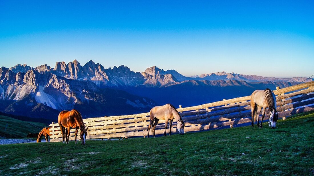 Entdecken Sie das AKI Family Resort PLOSE by ADLER, das am 17. November 2024 eröffnet! Ideal für Familien, bietet es ein naturnahes Ambiente, kindgerechte Betreuung und zahlreiche Aktivitäten im malerischen Südtirol. Genießen Sie unvergessliche Urlaubsmomente in der Nähe von Brixen und erleben Sie, wie Kinder hier einfach sie selbst sein können. Perfekt für entspannte Familienauszeiten!