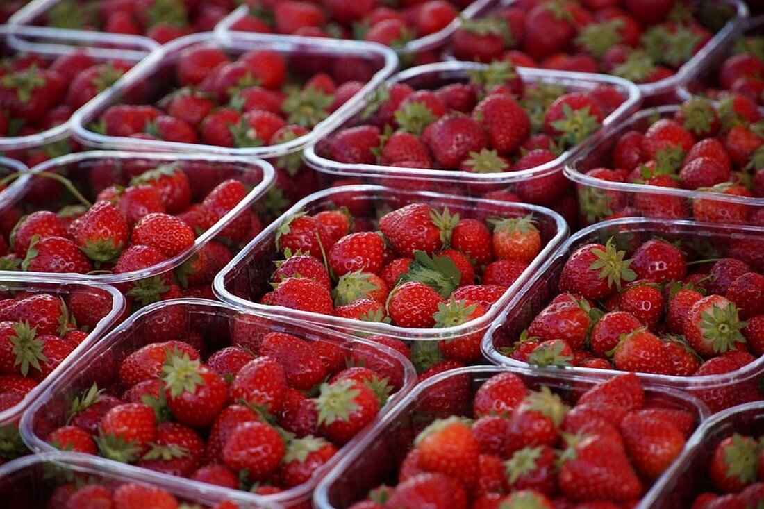 Entdecken Sie, wie Sie mit Tiefkühlprodukten Lebensmittelverschwendung effektiv reduzieren können! Unser Artikel bietet 10 wertvolle Tipps zur richtigen Lagerung und Verwendung, ergänzt durch ein leckeres Rezept für eine schnelle Brokkoli-Pasta. Nehmen Sie am kostenlosen Webinar des Deutschen Tiefkühlinstituts teil und erfahren Sie, wie Sie Geld sparen und gleichzeitig das Klima schützen können.