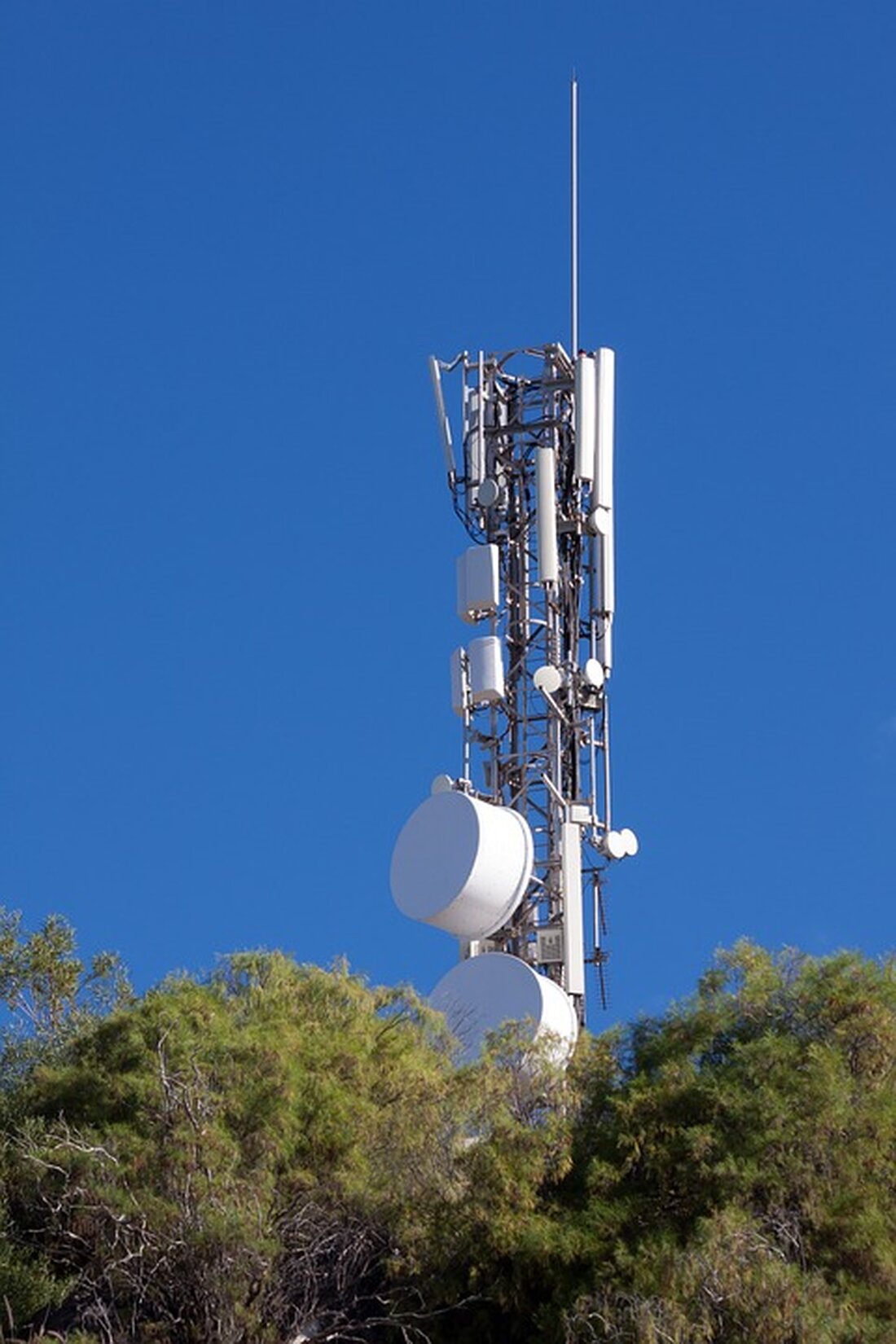 Verbesserung der Mobilfunkversorgung im Landkreis Eichsfeld: Die Telekom hat drei Standorte mit LTE erweitert, was zu einer höheren Abdeckung und besserem Empfang führt. Bis 2026 sind neun weitere Standorte geplant. Erfahren Sie mehr über den Ausbau und die Verfügbarkeit in Ihrer Region.