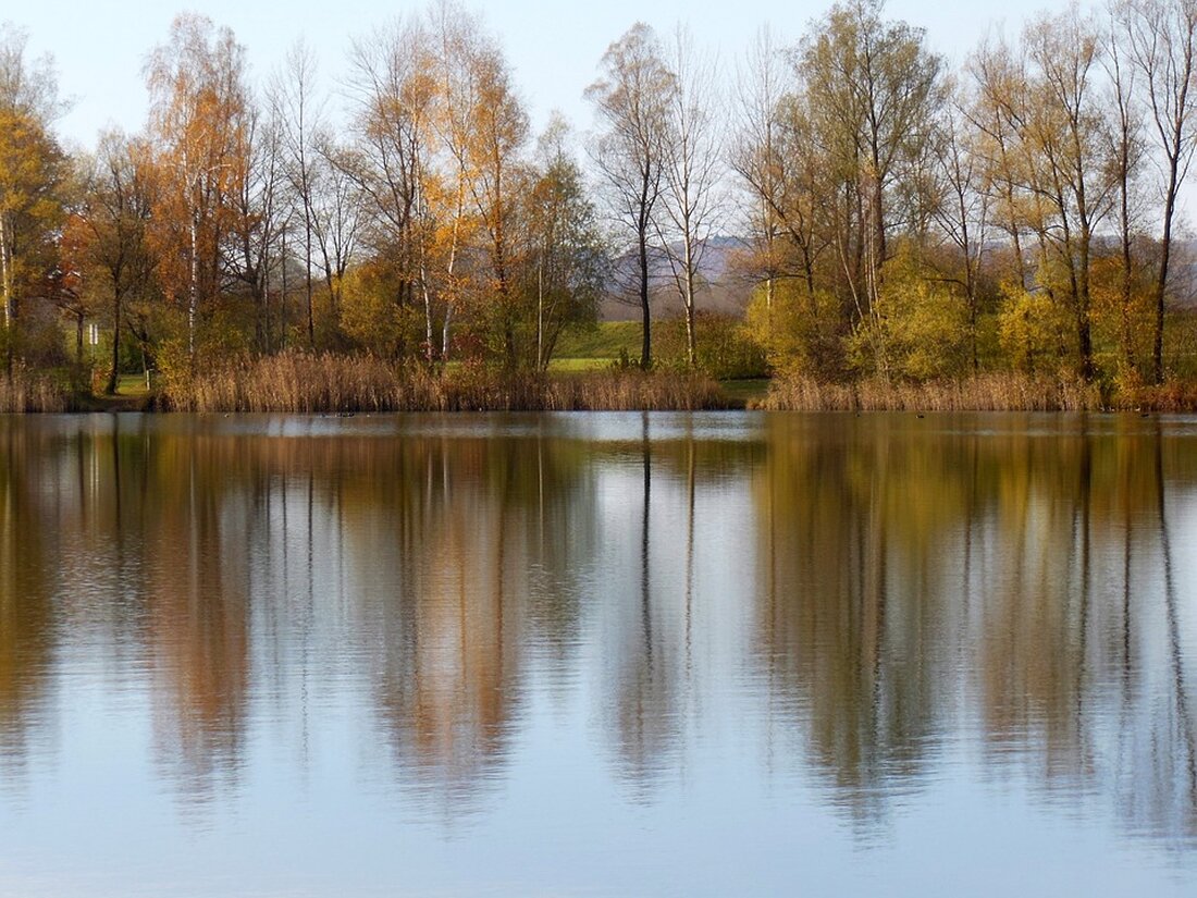 Erfahren Sie, wie die Telekom die Mobilfunkversorgung im Landkreis Ostprignitz verbessert hat. Durch den Ausbau von zwei LTE-Standorten in Stüdenitz-Schönermark und Wittstock/Dosse steigt die Bandbreite und Empfangsqualität für Nutzer. Bis 2026 sind weitere 32 Standorte geplant. Informieren Sie sich über den aktuellen Stand und die Zukunft des Mobilfunkausbaus in Ihrer Region.