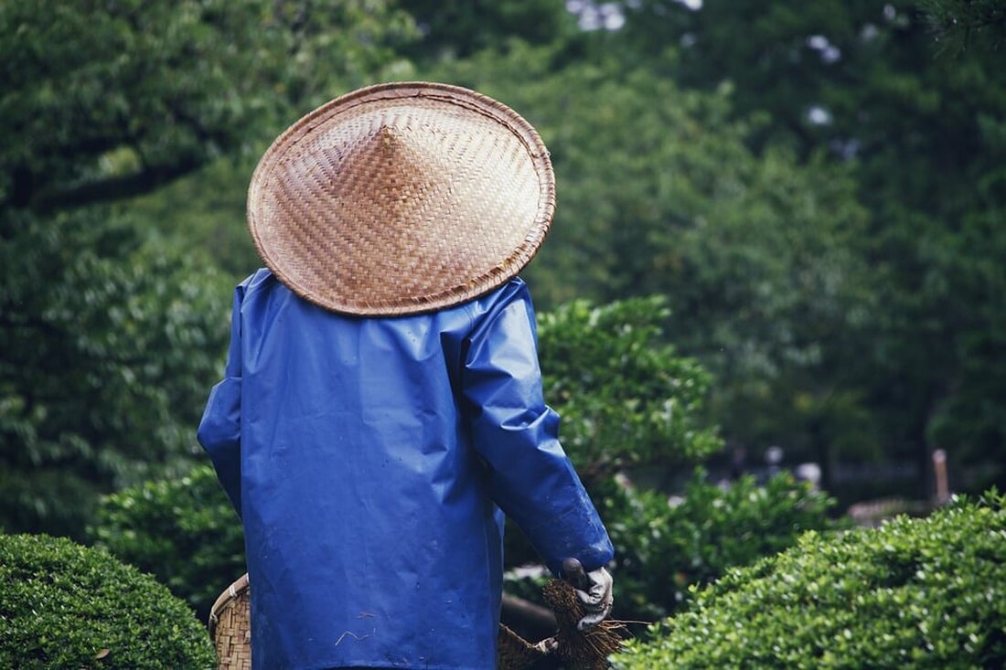 Entdecken Sie die aktuelle Presseinfo zum Innovationspreis Gartenbau 2024 der Gesellschaft deutscher Friedhofsgärtner. Erfahren Sie mehr über innovative Ansätze im Gartenbau und die Auszeichnung der besten Ideen. Lesen Sie jetzt mehr!