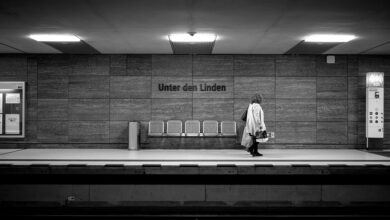 Gunnar Schupelius – mein Ärger: Baut endlich die U-Bahn zum Flughafen! | Regional