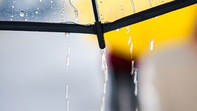 Gewitter und Starkregen am Wochenende in Berlin und Brandenburg