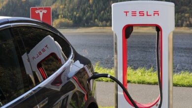Tesla in Grünheide: Höhere Sicherheitsanforderungen für Werksausbau