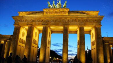 War die Löwin in Berlin und Brandenburg los? Endergebnis der Laboranalyse liegt vor