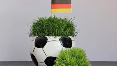 Fußball, Fest und neue Freundschaften - Tempelhof-Schöneberg feiert seine Städtepartnerschaften