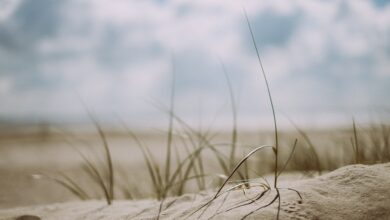 Sprechstunde mit Bezirksstadträtin Sandy Mattes