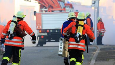 Treptow-Köpenick ist bei Ehrenamtlichen Spitze unter den Bezirken