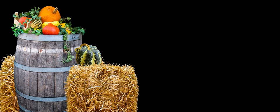 27. Alt-Marzahner Erntefest gemeinsam mit dem 29. Umweltfest