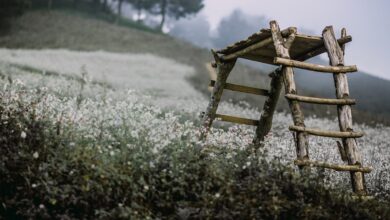 Bezirksamt reagiert auf Investitionsplanung des Landes für die Jahre 2024-2028