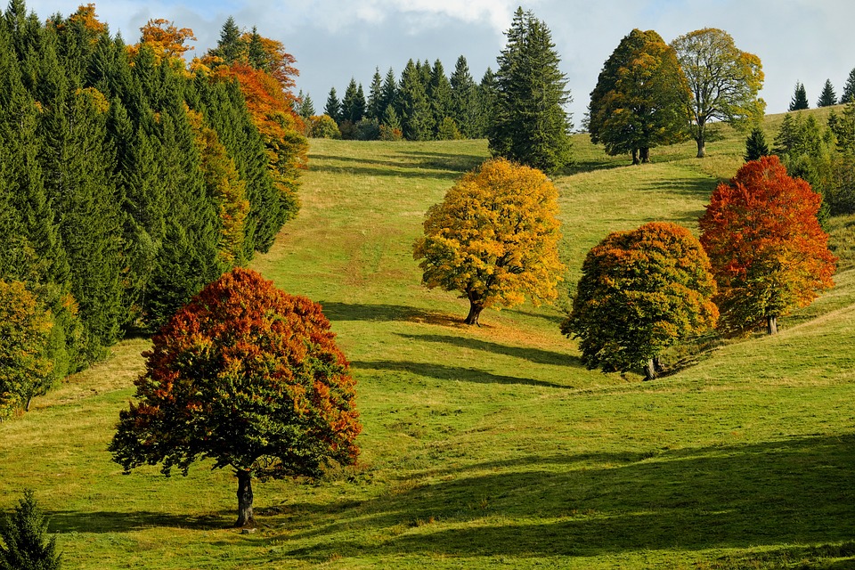 Bürgersprechstunden des Bezirksamtes im Oktober 2024