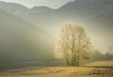 Herbstliche Vogelexkursion mit dem Experten André Eden