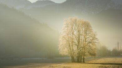 Herbstliche Vogelexkursion mit dem Experten André Eden