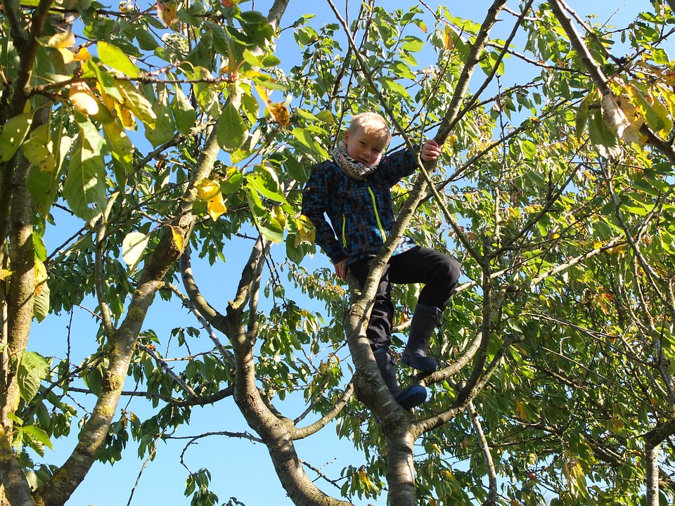 Tag des Offenen Denkmals am 7. und 8. September in Reinickendorf