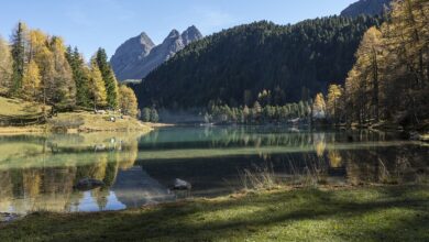 Jetzt anmelden für: „Herbstferien ohne Kofferpacken“