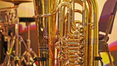 Musikschule City West: Zwei Konzerte mit dem Tuba Vibes Project zum Jahr der Tuba