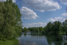 Statement zu den Brandstiftungen im Britzer Garten