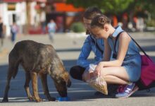 Suppen- und Spendenaktion auf dem Helene-Weigel-Platz