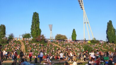 Hunde anleinen für ein harmonisches Miteinander - Kampagne #miteinanderfüreinander im Mauerpark gestartet