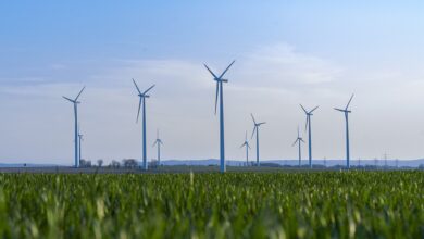 Nachhaltigkeitsplaner 2025 „Essen und Nachhaltigkeit“ jetzt erhältlich