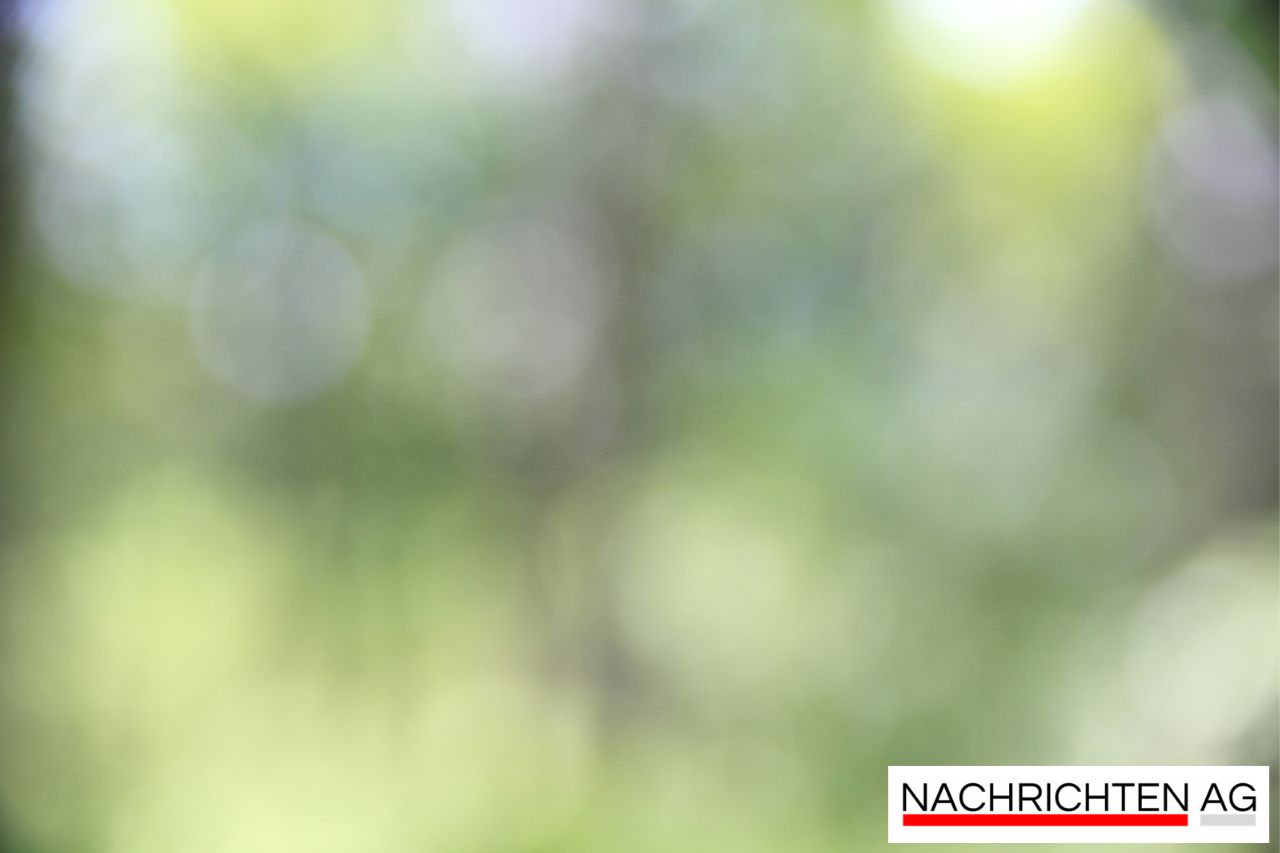 Neues Hilfsangebot für junge Familien: Spandau informiert umfassend!