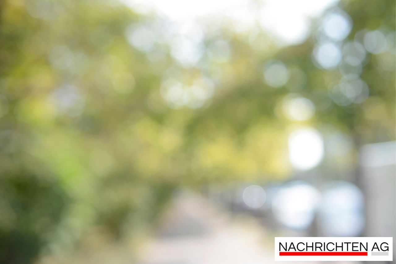 Kleine Schritte im Klimaschutz: Insa Kehlenbecks pragmatischer Ansatz für Friedrichshain-Kreuzberg